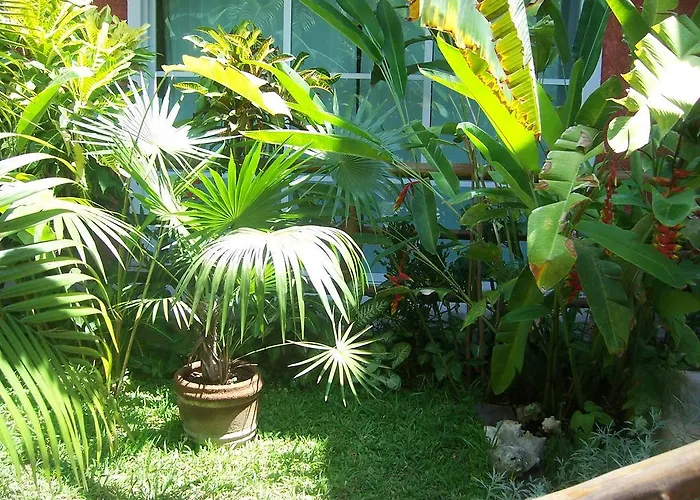 Elements Of The Island