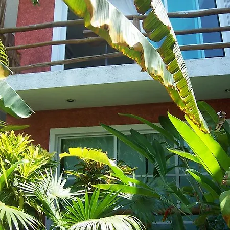 Ferienwohnung Elements Of The Island Isla Mujeres Exterior foto