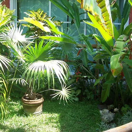 Ferienwohnung Elements Of The Island Isla Mujeres Exterior foto