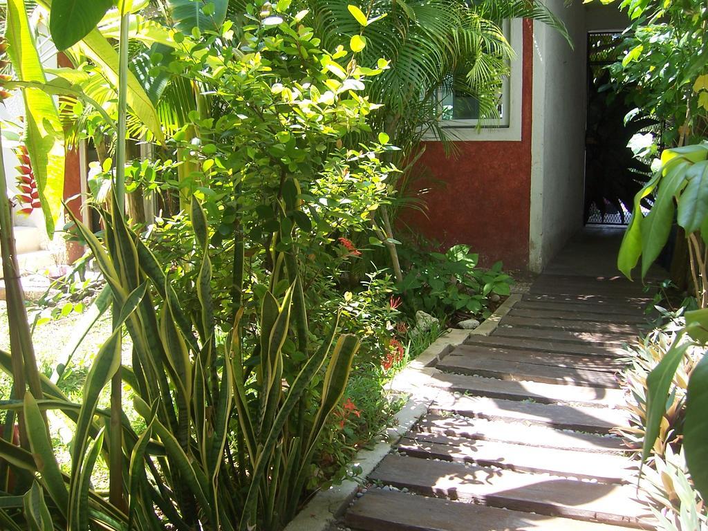 Elements Of The Island * Ilha das Mulheres