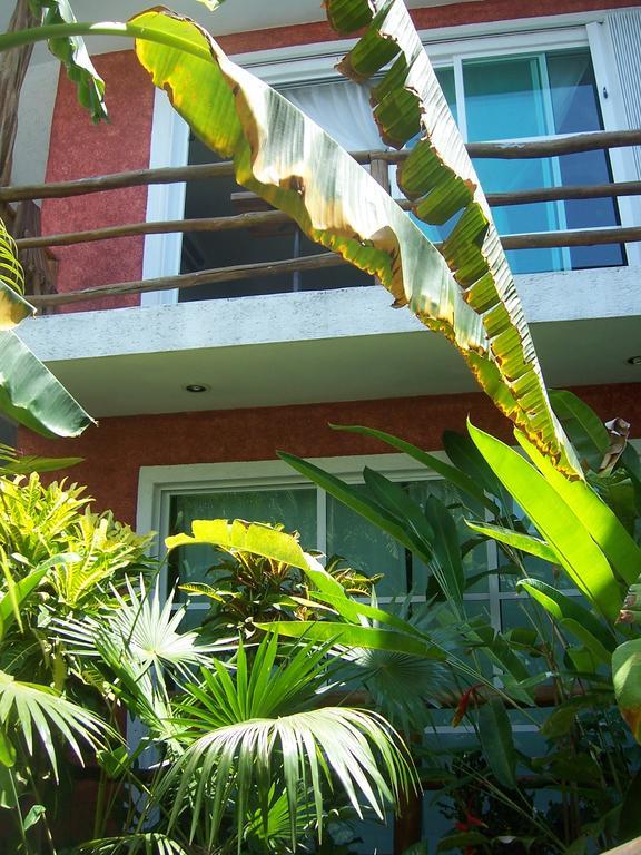 Elements Of The Island Apartamento *
