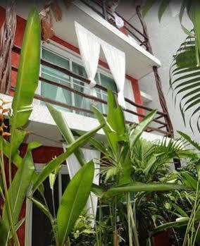 Apartamento Elements Of The Island *